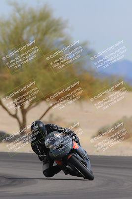 media/Nov-05-2022-SoCal Trackdays (Sat) [[f8d9b725ab]]/Turn 4 Tree of Life (125pm)/